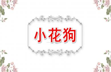 小班音樂小花狗PPT課件教案